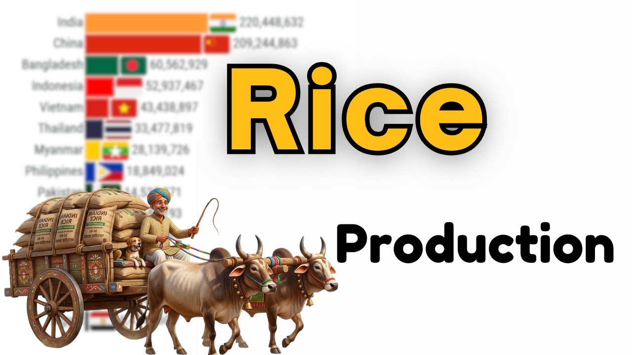 World's Largest Global Rice Producing Nations 1961&ndash;2026