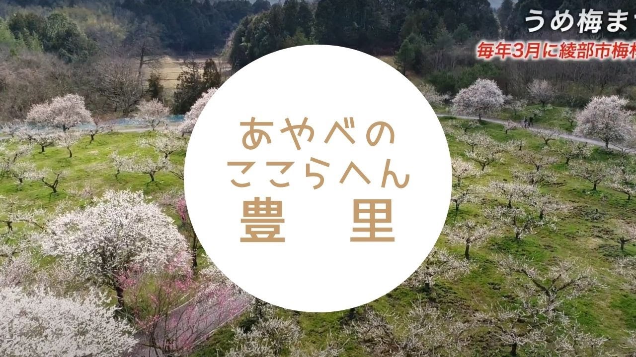 あやべのここらへん　豊里 HD