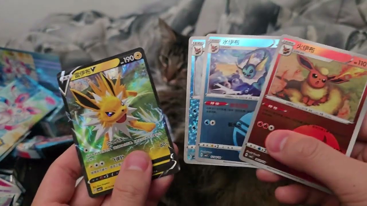 Opening 2 Pokemon Chinese TCG Eevee Gem Pack