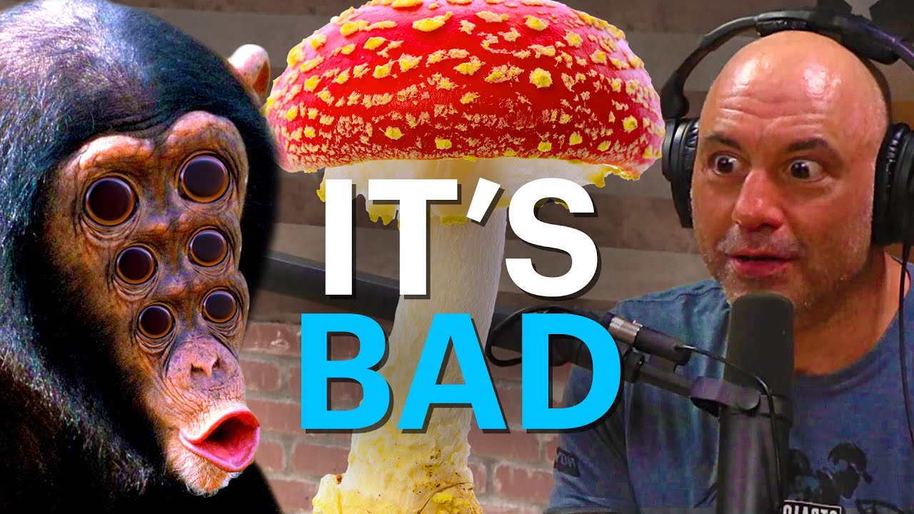The Stoned Ape Theory is bad