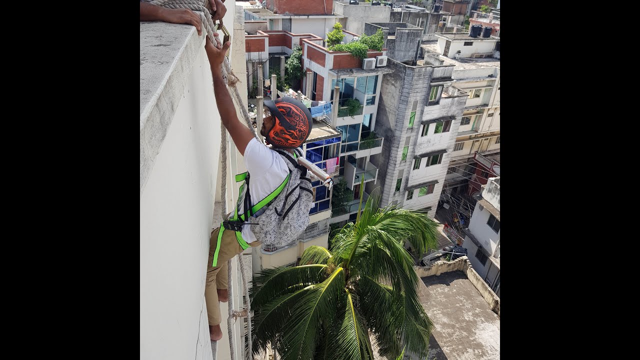 Cat rescue from old dhaka by RobinHood For Animal 