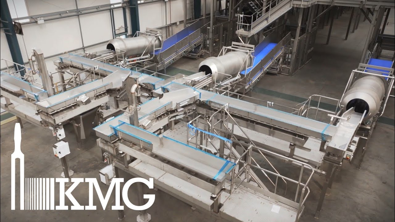 Vibratory Conveyor | Seasoning and Distribution Prebuild | KMG Systems