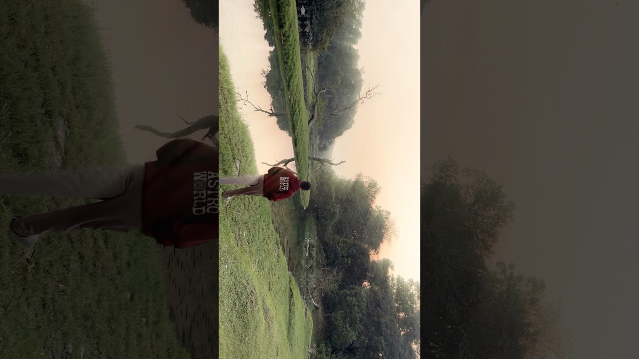 Golden Brown - Cinematic Edit | 