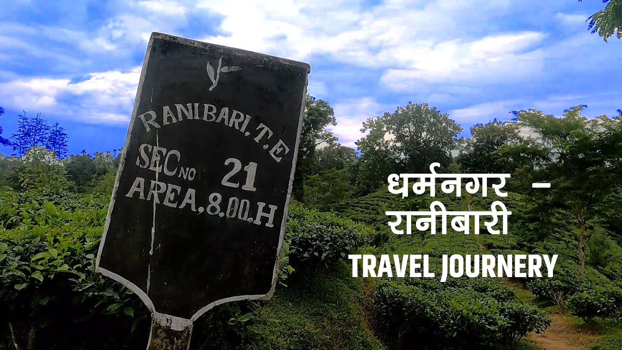 Dharmanagar to Ranibari Tea Estate Travel Blog | subusuman vlogs