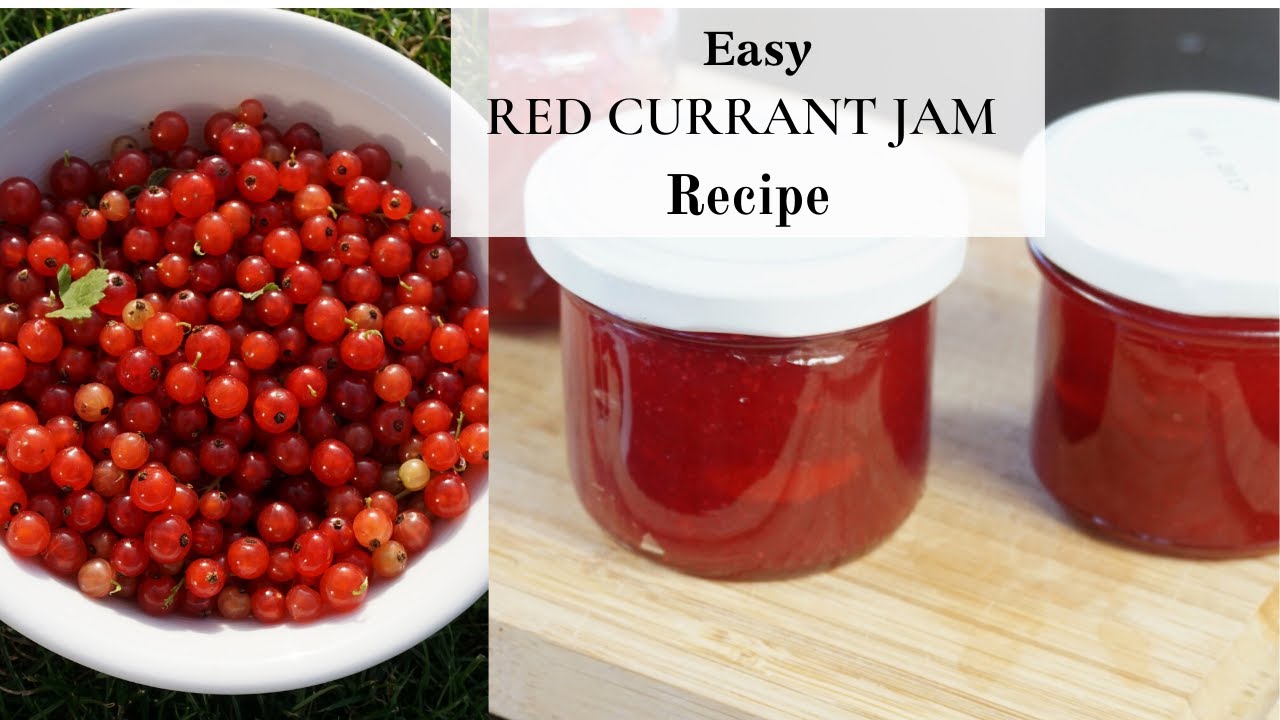 How to make Redcurrant Jam  (Easy Recipe)