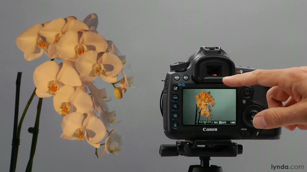 Учебное пособие по цифровой зеркальной фотокамере Canon — ручной баланс белого