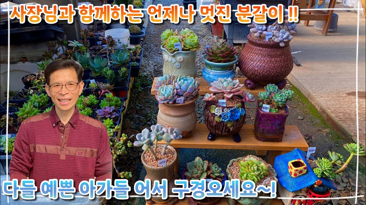 사장님과 함께라면 언제나 즐거운 분갈이 시간 !! 다들 어서 예쁜 아이들 구경오세요 ~!!