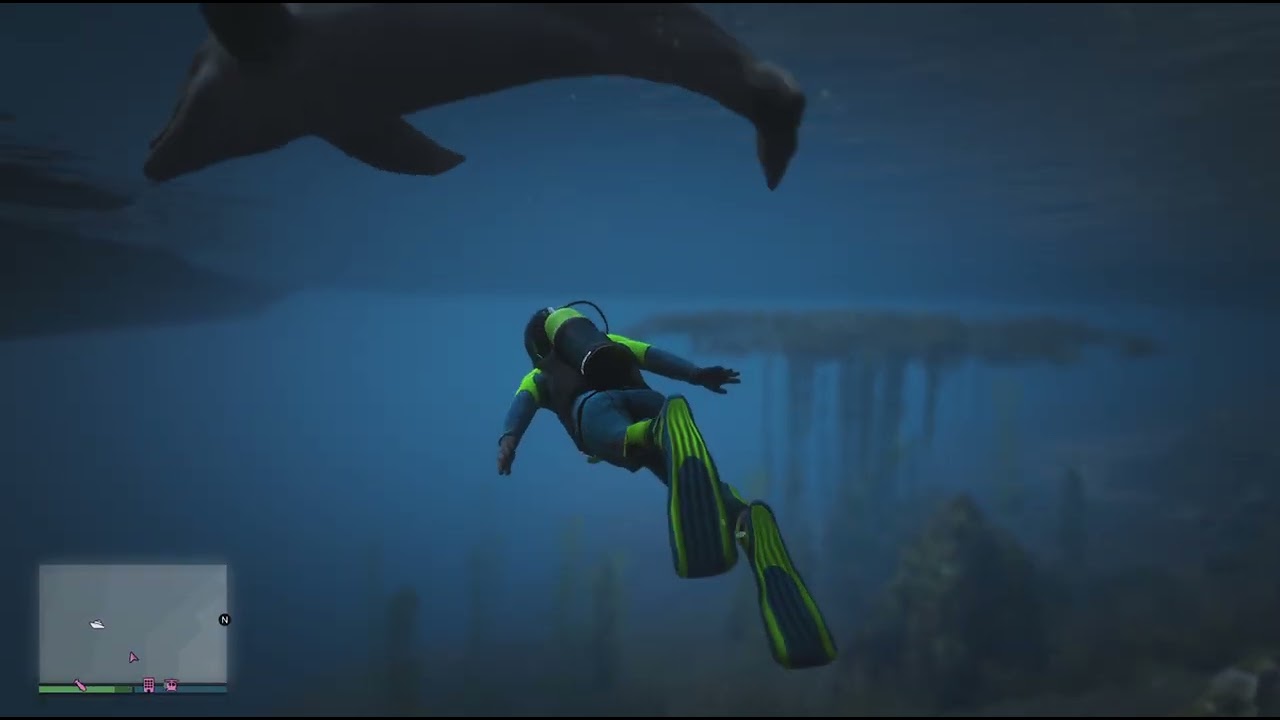 GTA V Swimming with dolphins 2