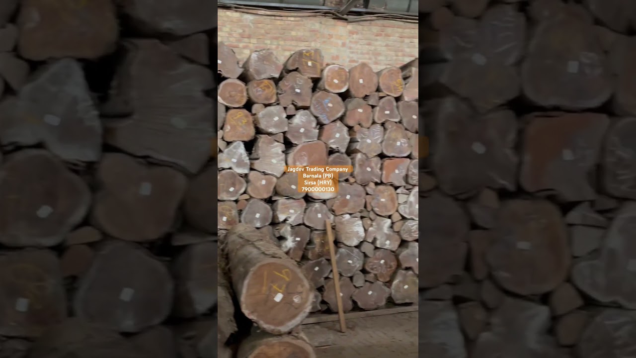 Teak wood logs || Premium $ plantation || Importer and wholesaler || Best Price || 📞 7900000130