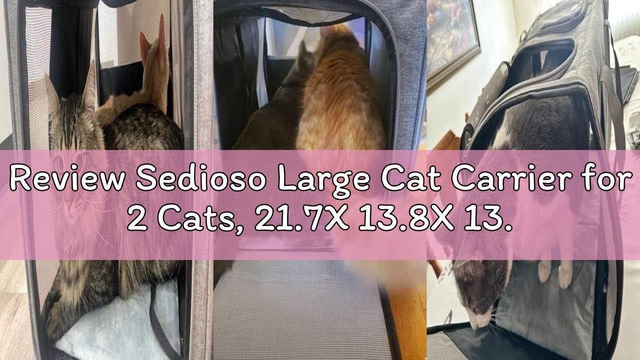 Review Sedioso Large Cat Carrier for 2 Cats, 21.7X 13.8X 13.8in Pet Carrier for Cat and Dog Up to 38