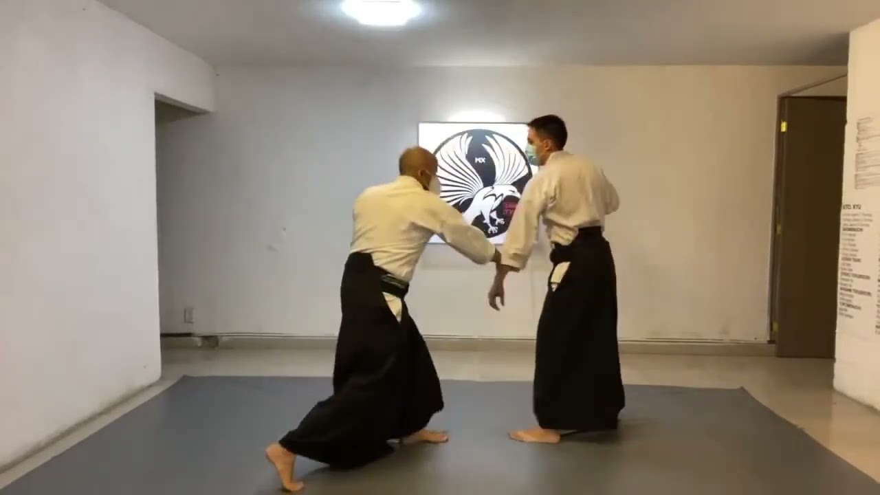 Aikido vs  Golpes| CMBTVS MÉXICO | BRUNO OROZCO