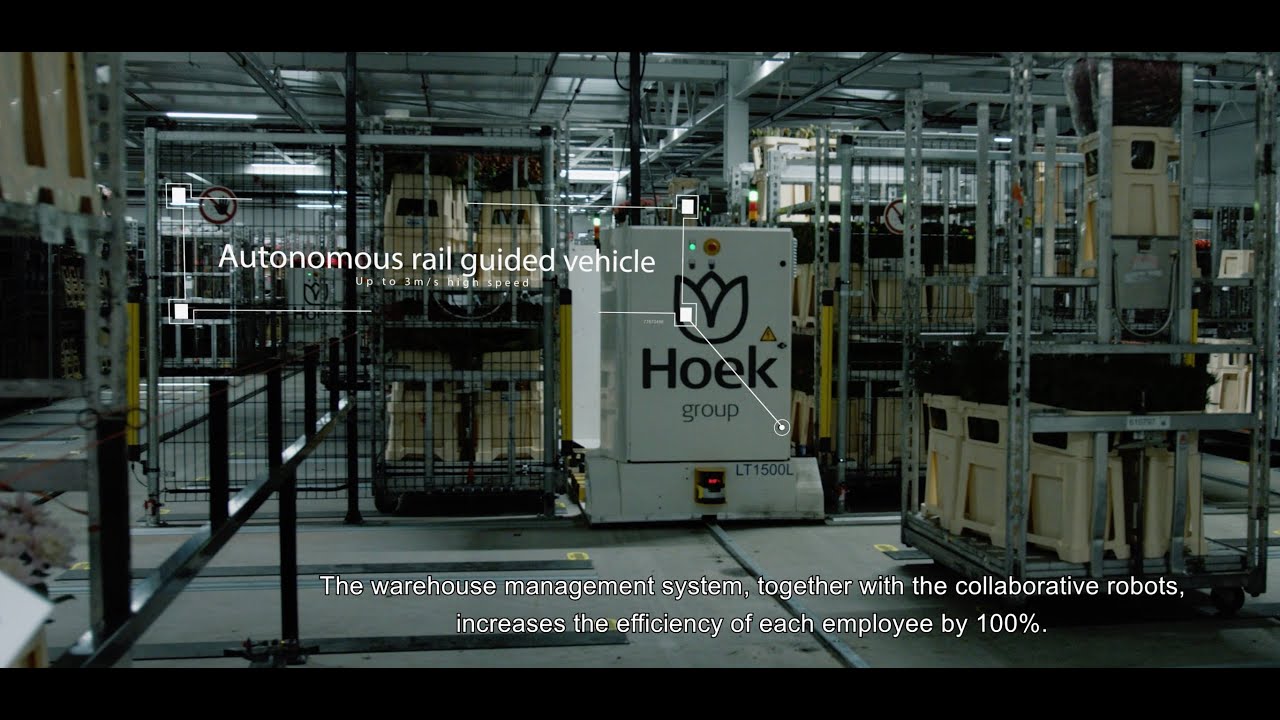 RGV_Hoek_group.mp4