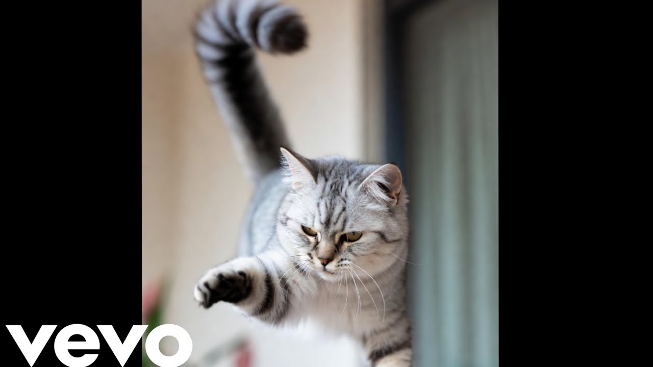 Rits - 跳舞的貓 (official audio) 