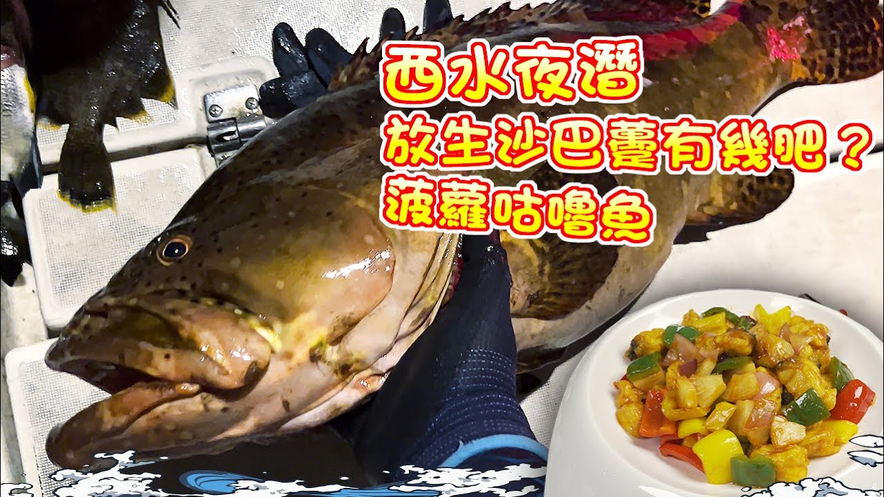 【漁人推介】香港水域 阿火帶大家到屯門出海玩徒潛，沙巴龍躉越養越肥！放生怪物不能放過！回家製作菠蘿咕嚕魚 Catch and Cook Seafood Sabah Giant Grouper