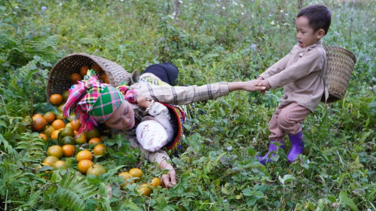 Собираем апельсины с сыном для продажи на рынке — Строим ферму | Повседневная жизнь