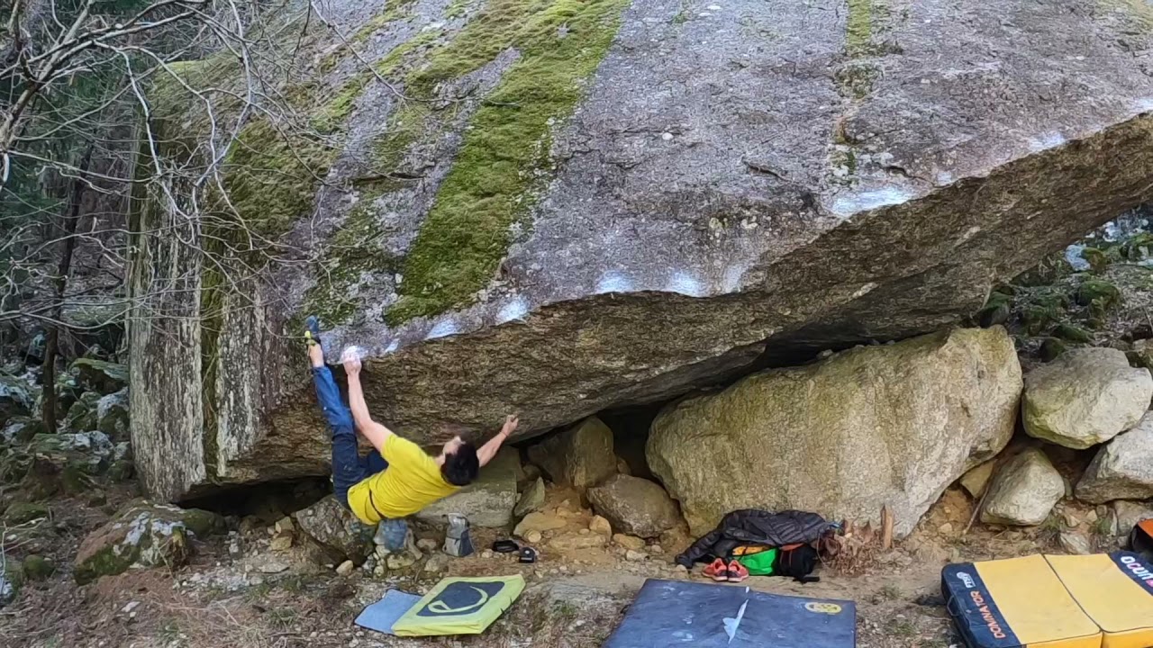 Maschio alfa [8A]