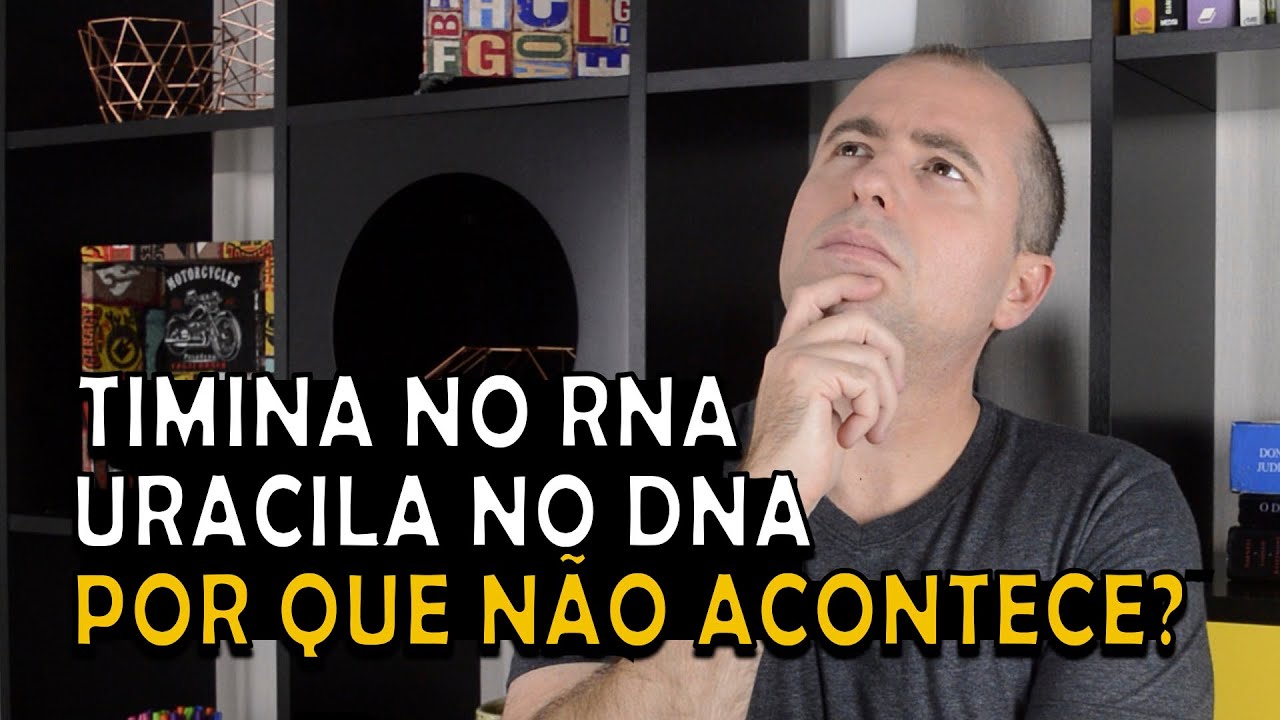 Por que não existe Uracila no DNA e Timina no RNA?