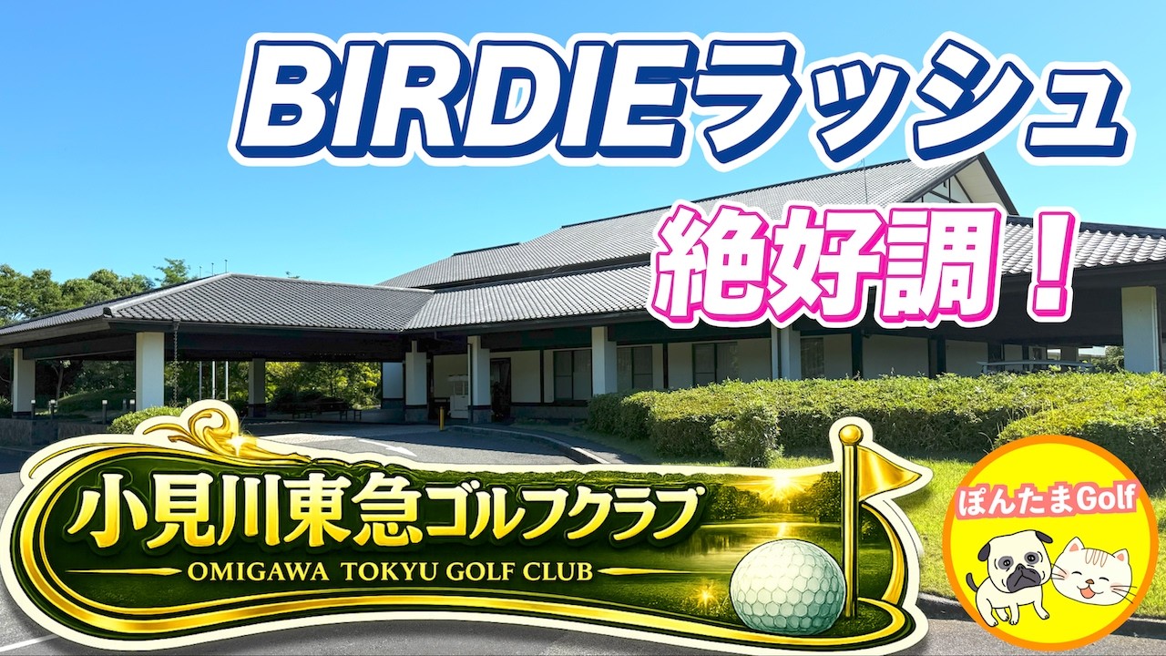 【ベストスコア更新⁉︎】千葉県の小見川東急ゴルフクラブINコース紹介【前半戦】