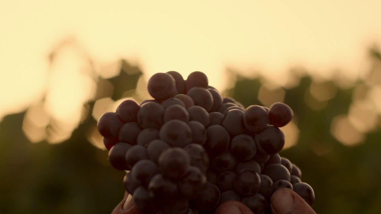 Bodegas Torralbenc . Es