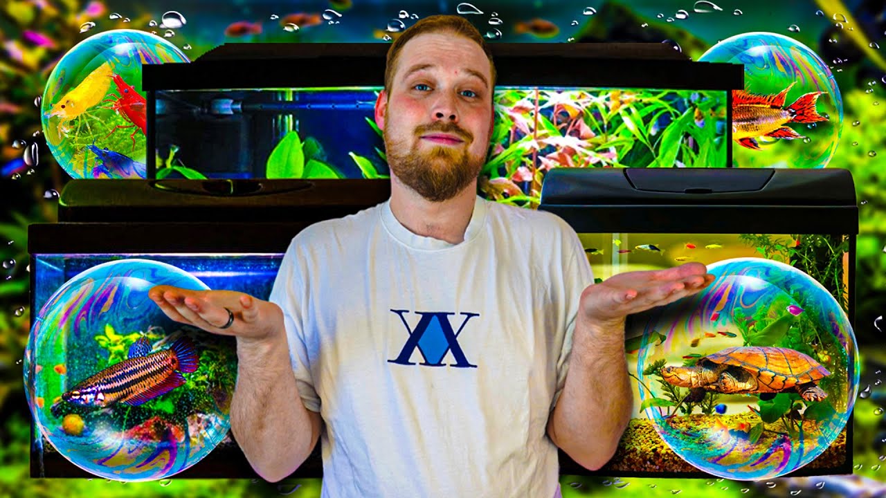Quelle ESPECES AQUATIQUES choisir et pour quel LITRAGE d'aquarium ! [ ANI' MOOD ]