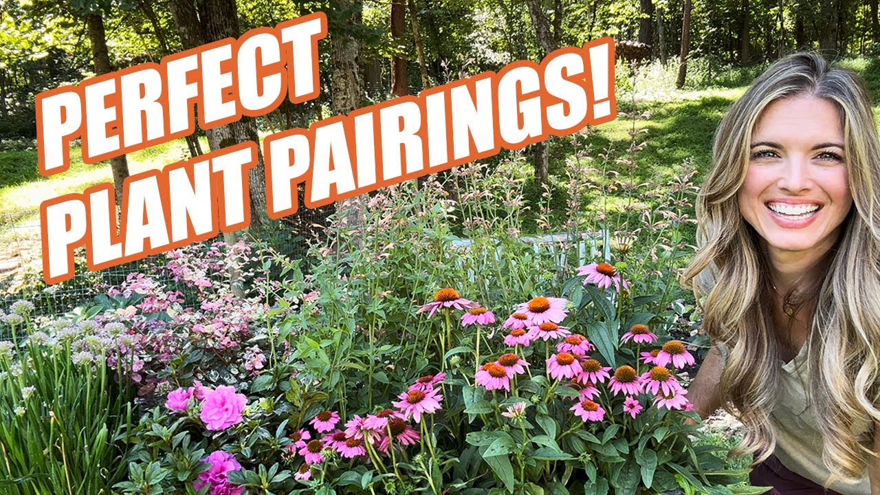 Perfect Plant Pairings for Stunning Year Round Interest! Gorgeous NEW Plants for My Cottage Garden!