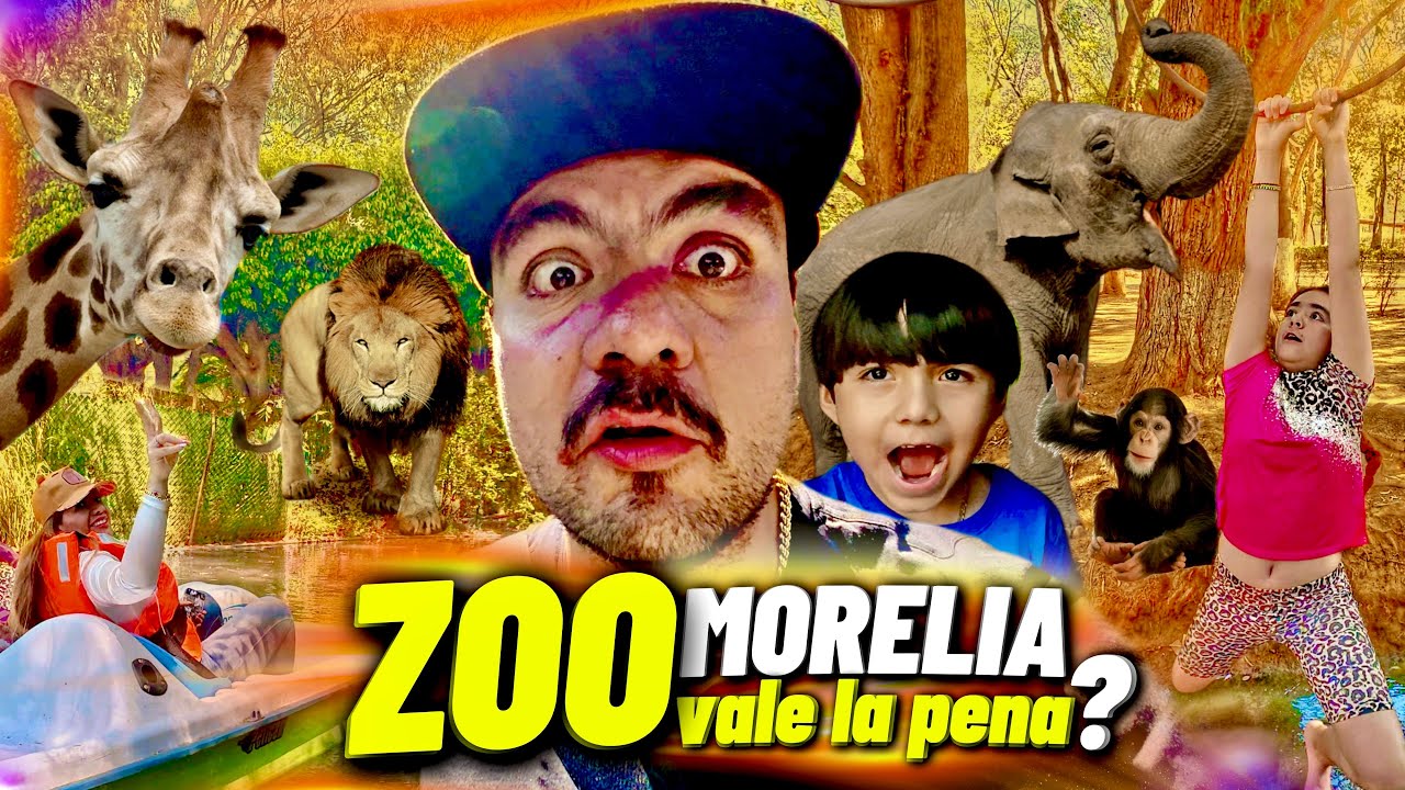 Zoológico de Morelia.. ¿CUÁNTO CUESTA? qué hacer | VALE LA PENA 😳