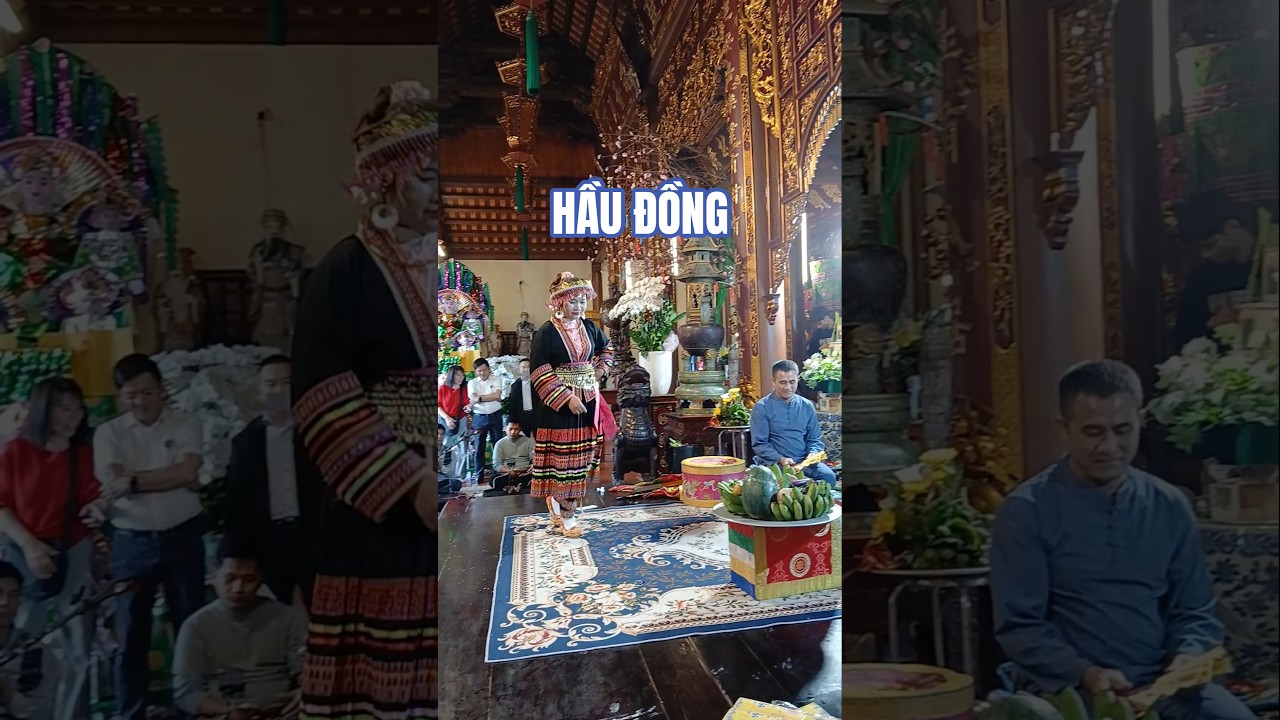HẦU ĐỒNG #mrxoan #trải_nghiệm #t&aacute;c_nghiệp #phamsonhai