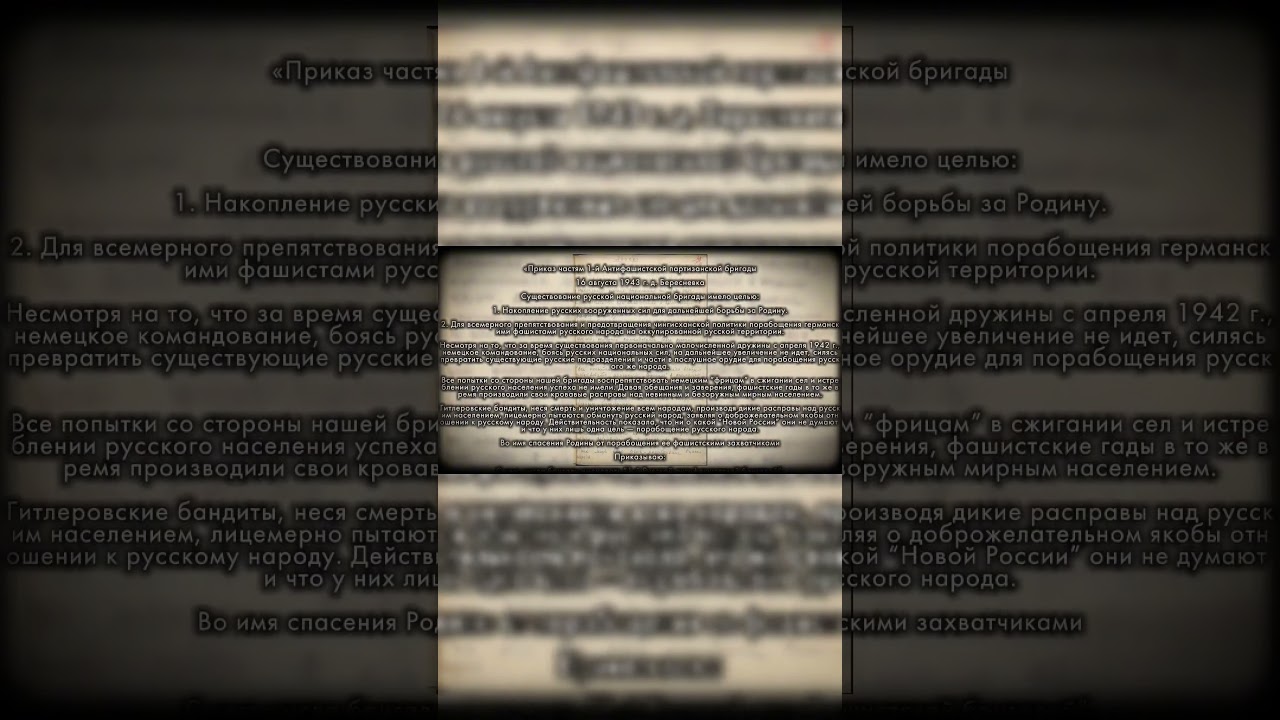 приказ по первой антифашистской бригаде  #история #националисты