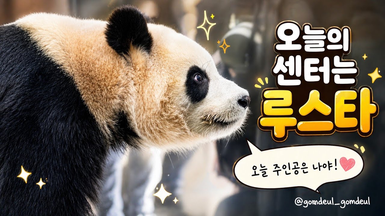 8K 오늘의 센터는 루스타 /루이바오 팬미팅