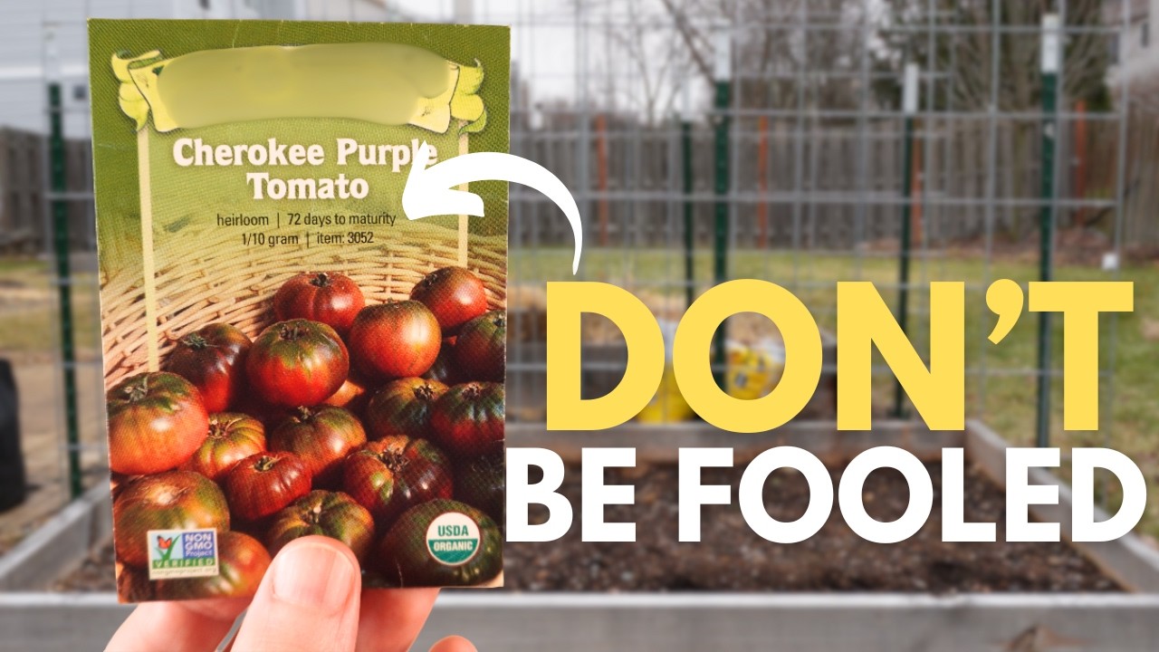 Tomato Seed Packet Info That Can Wreck Your Harvest