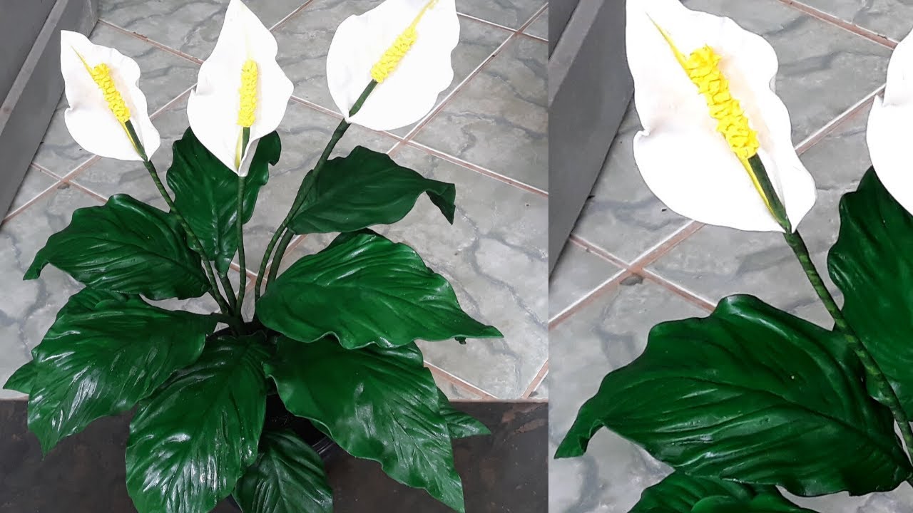 MARAVILHOSO LÍRIO DA PAZ EM EVA  SIMPLES DE FAZER