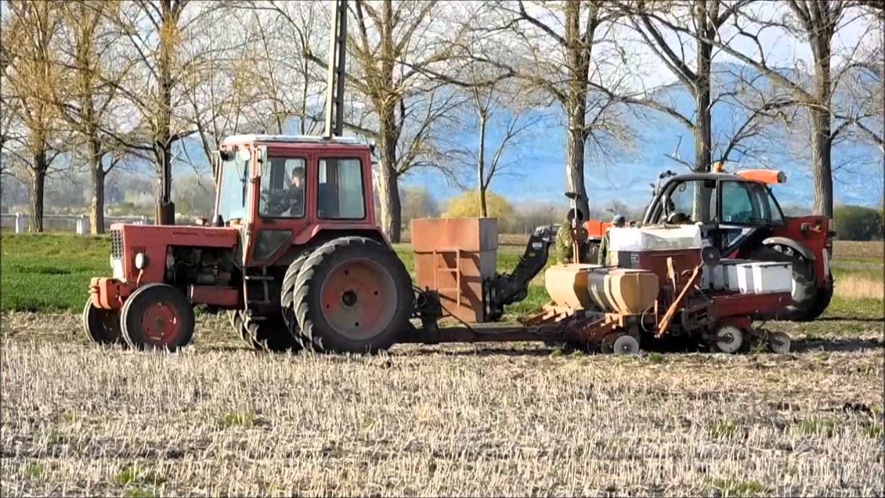 Kukorica direktvetés szója tarlóba