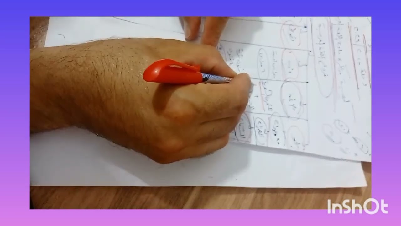 ٢٩ يونيو ٢٠٢٥