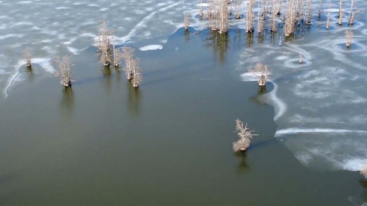 HORSESHOE LAKE 2/11/2026