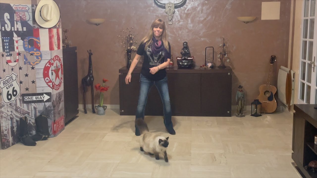 Cocaïne - Country Line Dance (Tuto et Démo)