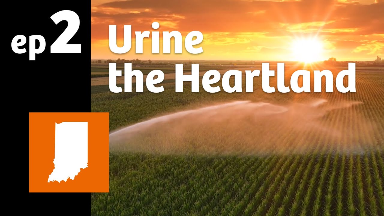 Ep. 2: The brave new world of urine testing