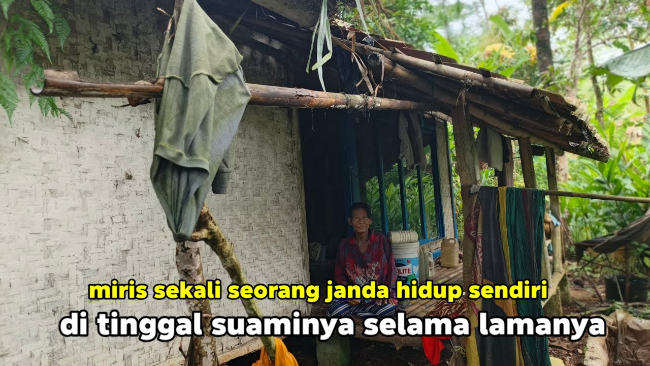 miris sekali seorang janda hidup sendiri di rumah reyot tanpa pendamping