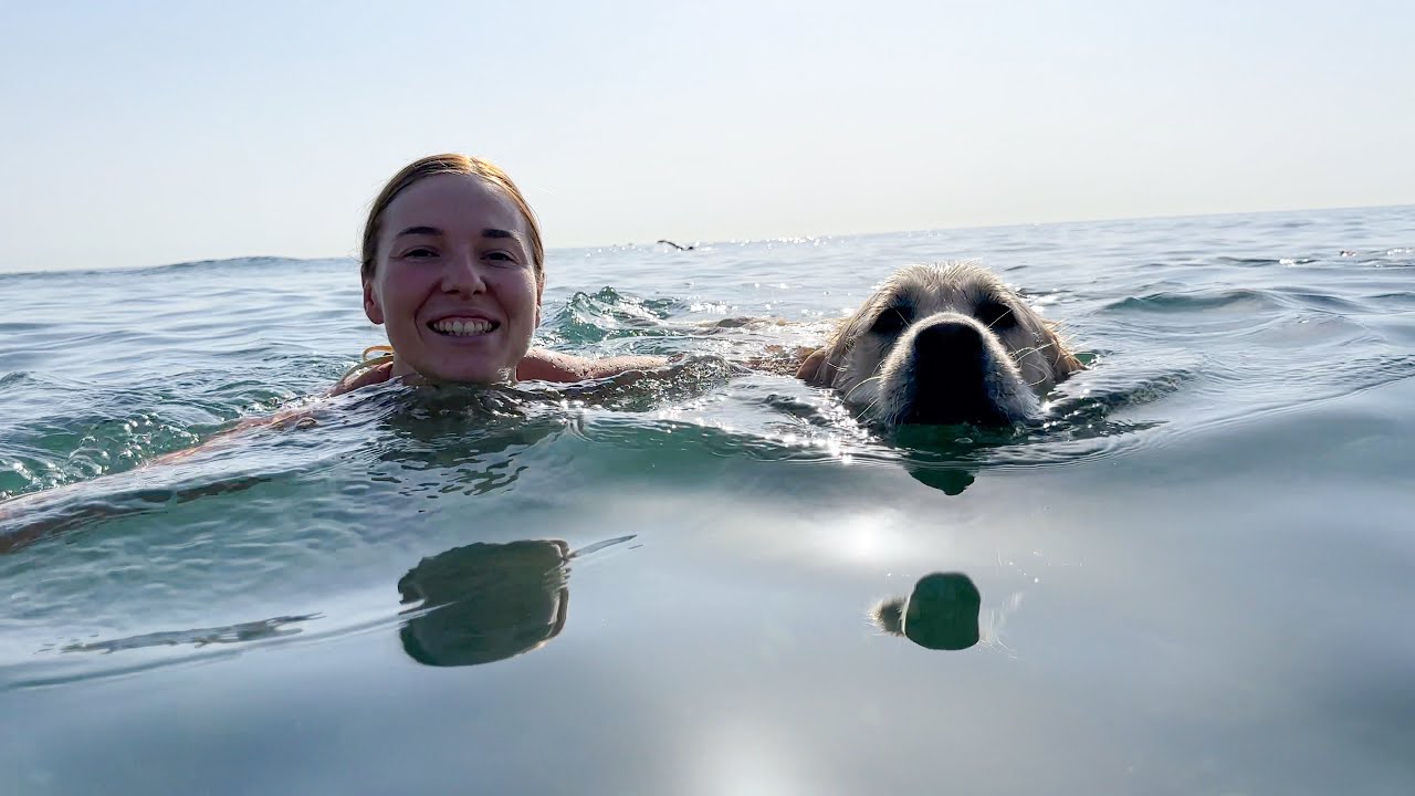 Taking My Dogs for a Fun Day at the Sea 🌊🐕