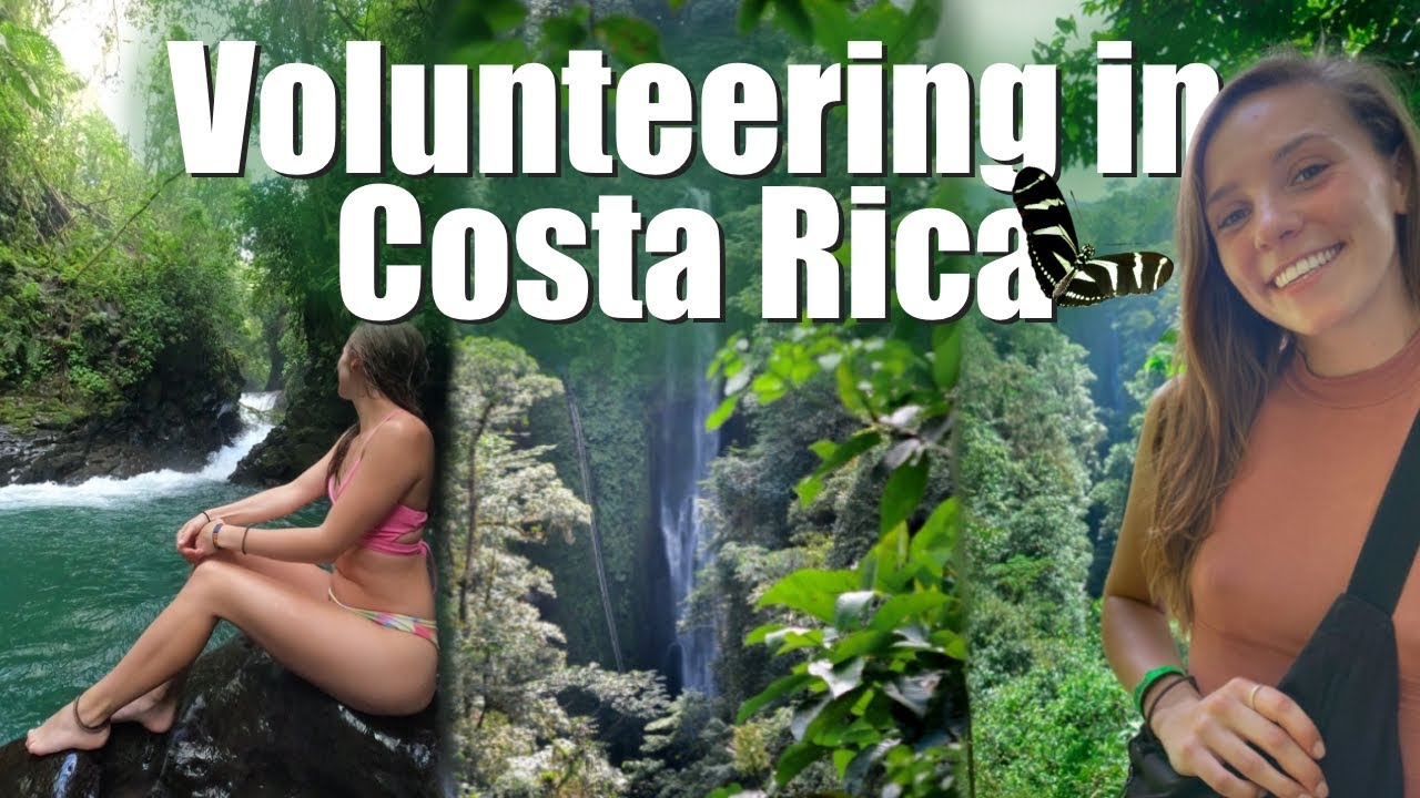 Why I Left My Worldpackers Placement in Costa Rica After 1 Day | Worldpackers honest Experience
