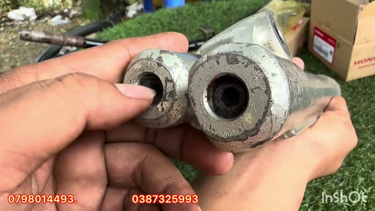 (đã bán hết)ngày 12 tháng 1, 2026