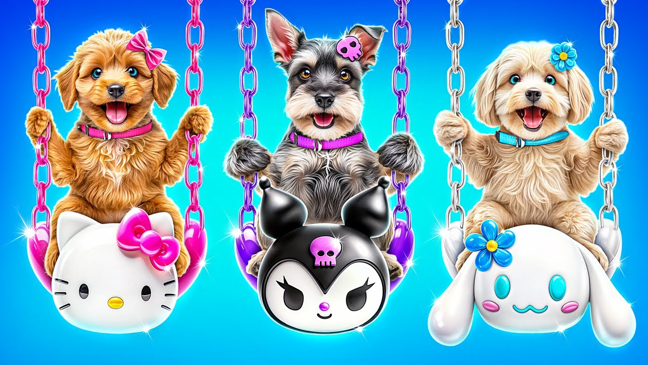 キティ vs クロミ vs シナモン！推しカラーで犬小屋作ってみた結果…尊すぎた！