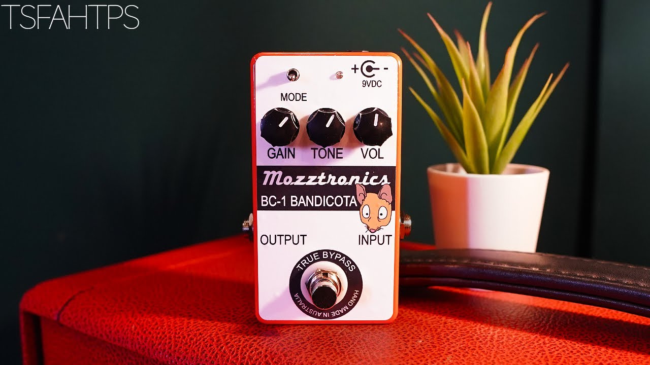 it's a Small, Furry, Australian Creature - Mozztronics BC-1 Bandicota...on Guitar & Bass