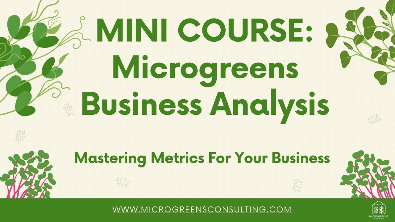 Анализ бизнеса Microgreens: инструменты для принятия стратегических решений