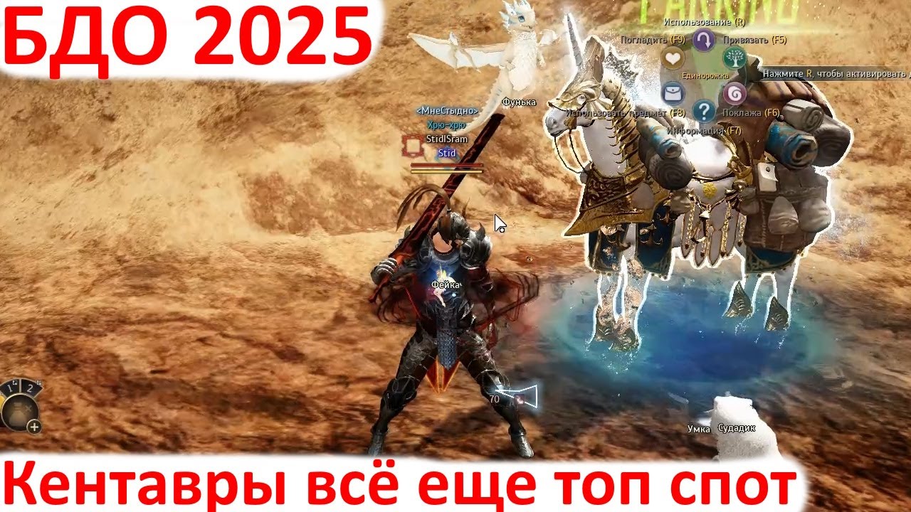 Black Desert 2025 - Что нового в БДО / Лучший спот в 2025