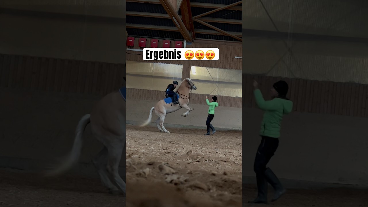 Ganz besonderer Tag 😍😍 #pferd #reiten #steigen #pony #horse #farm #gest&uuml;t #ferienwohnungen