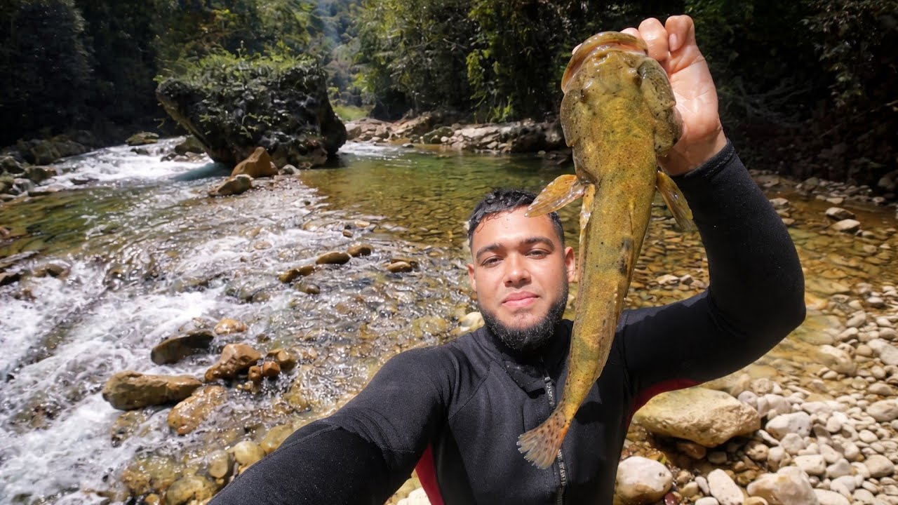 Pesca y cocina | Peces Gigantes en Aguas muy Cristalinas... Guabinas &iexcl;MONSTRUOS! + dajaos, Otros. 🏝️