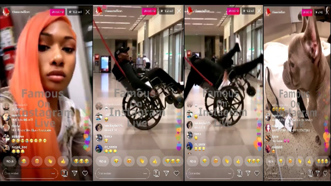 Megan Thee Stallion "Most Funny Instagram Live Ever!" (Her Dogg Says NO With His Head) 😂🤣