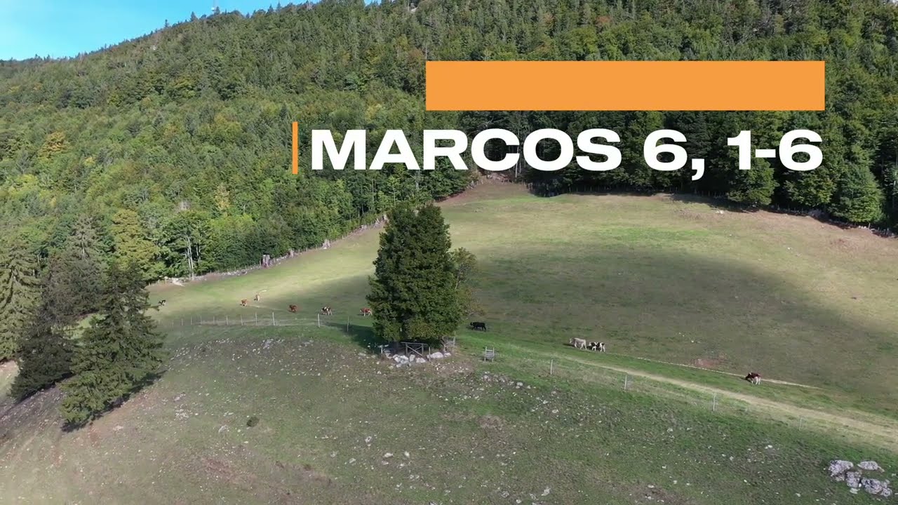 EVANGELIO del Día - 4 de Febrero | Marcos 6, 1-6 | Padre Guillermo Serra
