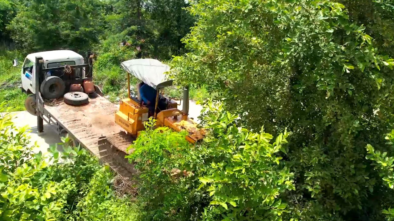 OMG!!! New Project Clearing & Grass And Forest By Driver Best KOMATSU D31P Bulldozer Pushing Grass