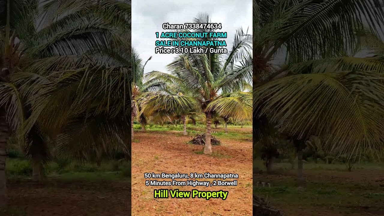 1 Acre Coconut Farmland Sale in Channapatna, Charan 7338474634